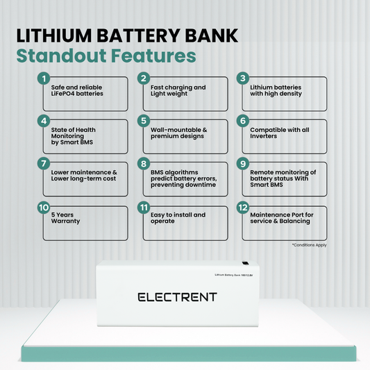 Lithium Battery LFP100/12.8V