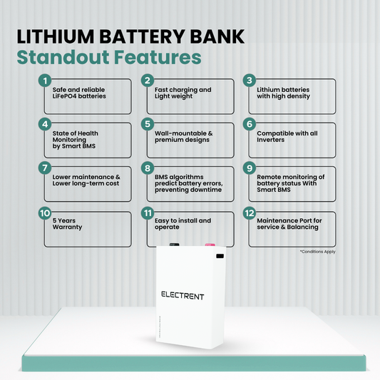 Lithium Battery LFP100/25.6V