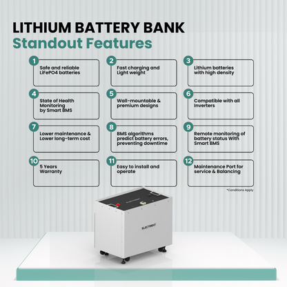 Lithium Battery LFP100/96V