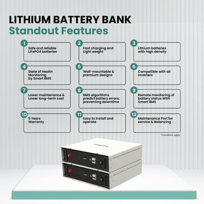 Lithium Battery LFP100/96V
