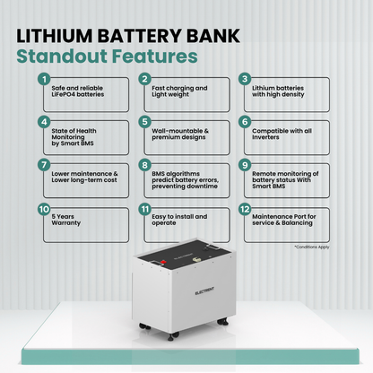 Lithium Battery LFP100/120V