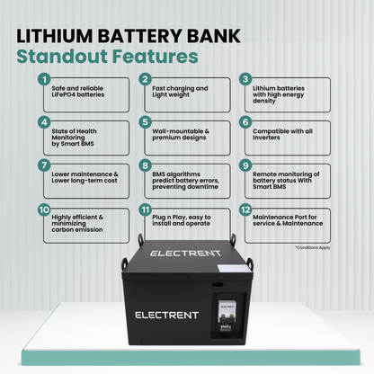 Lithium Battery LFP100/120V