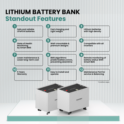 Lithium Battery LFP200/120V
