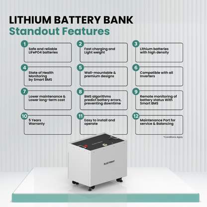 Lithium Battery LFP200/120V