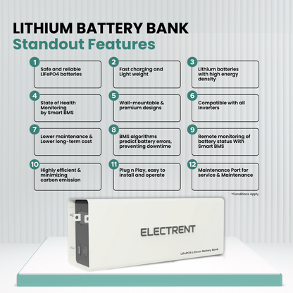 Lithium Battery LFP100/12.8V