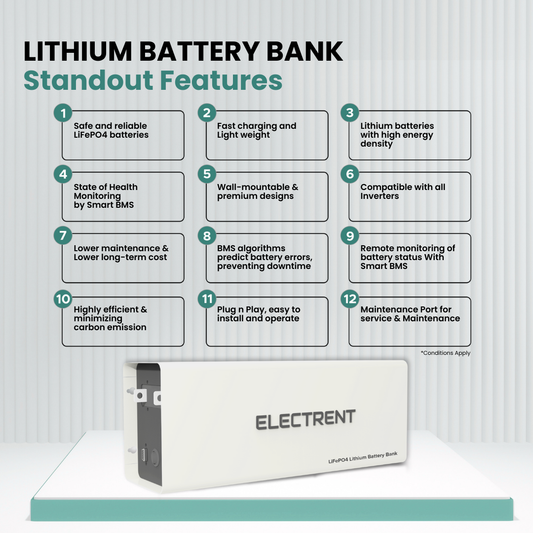 Lithium Battery LFP100/12.8V