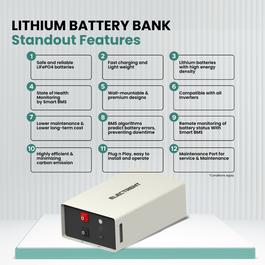 Lithium Battery LFP100/25.6V