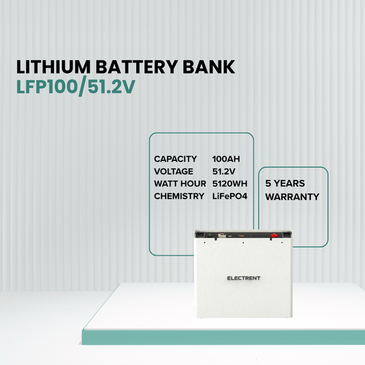 Lithium Battery LFP100/51.2V