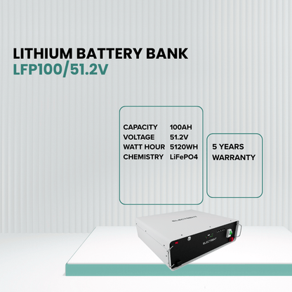 Lithium Battery LFP100/51.2V
