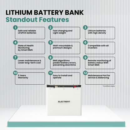 Lithium Battery LFP100/51.2V