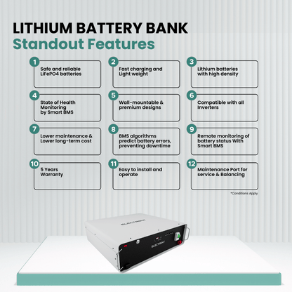 Lithium Battery LFP100/51.2V